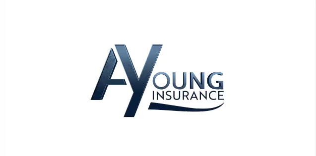 An Intro To A Young Insurance – Waterford, MI